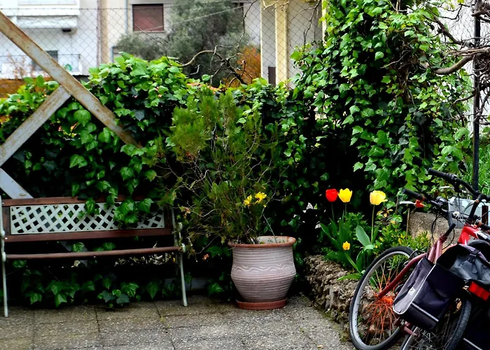 The Winebirds Appartement Dráma